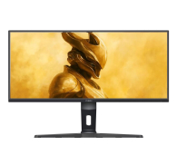 IIYAMA G-Master GCB3486WQSCP-B1 Gold Phoenix